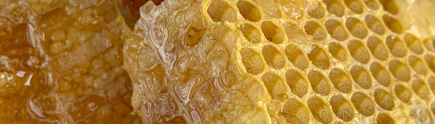 miel y savia de miel